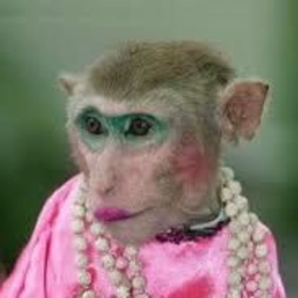 Meet your Posher, Marian - Picture 1 of 1